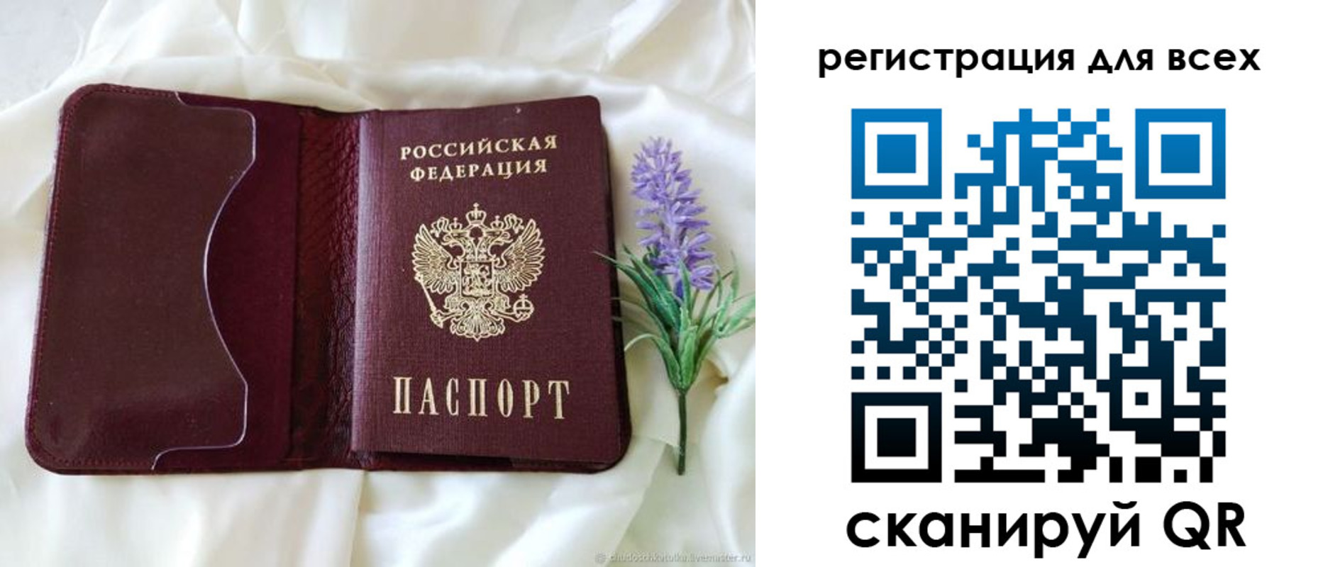прописка 2025 в Снежногорске